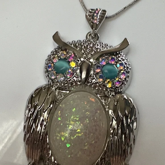 Silver Owl Pendant Necklace and Earring Set - Picture 4 of 7